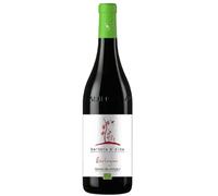 Barbera d'Alba DOC 2019 Bio Terre del Barolo