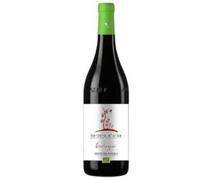 Barbera d'Alba DOC 2019 Bio Terre del Barolo