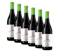 Barbera d'Alba Doc Biologico | Terre del Barolo | Vino Rosso del Piemonte | 6 Bottiglie 75cl | Idea Regalo
