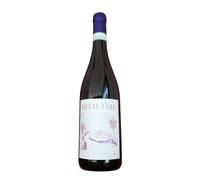 Barbera d'Alba Gabriele Cordero 2022