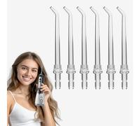 BarberBoss Punte di ricambio per idropulsore: confezione da 6 punte standard, compatibili con QR-7024 e QR-7025 (set da 6)