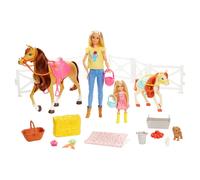 barbie ranch chelsea scuderia horse pony pferd cheval playset toys mattel FXH15