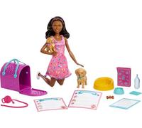 Barbie - Cuccioli Adottati, playset con bambola castana in rosa, 2 cagnolini, animaletto e tappetino per la pipì cambia colore, trasportino e 10 accessori, giocattolo per bambini 3+ Anni, HKD87