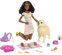 Barbie Doll and Accessories Playset with Brunette Doll, Mommy Dog, 3 Puppies and