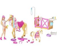 Barbie- Il Ranch di Barbie, Playset con Bambola Barbie Bionda, 2 Cavalli e Oltre