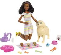 Barbie - Playset Cuccioli Appena Nati, con Bambola Castana da 30 cm Circa, Cagnolina Che Partorisce, 3 Cuccioli e Accessori per Nutrirli, Giocattolo per Bambini 3+ Anni, HCK76