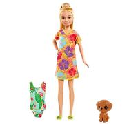 Barbie- Playset Il Compleanno Perduto con Bambola Stacie, Cucciolo e Accessori da Viaggio, Giocattolo per Bambini 3+ Anni, GRT89