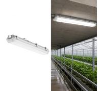 BARCELONA LED Plafoniera Stagna Per 2 Tubi LED 60cm IP65 | ABS Grigio, Policarbonato Resistente, Guarnizione Silicone, Doppio Ingresso Cavo, Uso Industriale