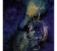 Bardo Pond Under the Pines (CD) Album