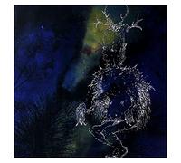 Bardo Pond Under the Pines (Vinyl LP) 12" Album
