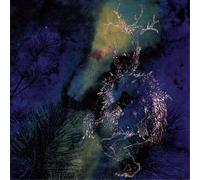 Bardo Pond Under the Pines (CD) Album
