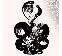 Bardo Pond Volume 4 & 5 (Vinyl LP) 12" Album