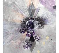 Bardo Pond Volume 8 (Vinyl LP) 12" Album