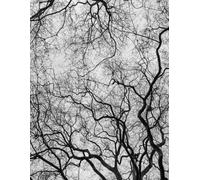 Bare Bones Social Media Calendar: A Simple Weekly Planner With Posting Times to Keep Projects and Content Organized