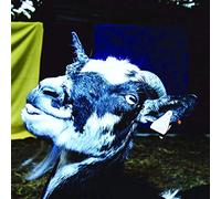 Barely Autumn - Day Trip to the Petting Zoo