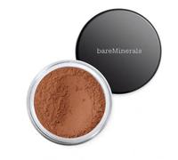 Bareminerals All Over Face Color Bronzer Warmth