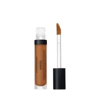 bareMinerals Barepro All-Over Skin-Perfecting Matte Concealer Mineral SPF 25+++ 7.5ml (Various Shades) - Medium Deep 450 Warm Medium Deep 450 Warm
