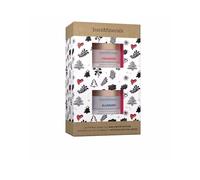 Bare Minerals Superfruit Mask Lote 2 Un