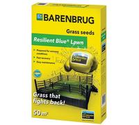 Erba resistente Barenbrug Resilient Blue Prato, 1 kg Semi di erba universali