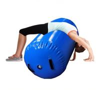Barile da Ginnastica Allenatore di Salto con Le Mani All'Indietro Grande, Attrezzatura da Ginnastica Portatile con Rullo A Botte per Casa/Sala Fitness/palestre(Blue,Dia 35.4in/90cm)