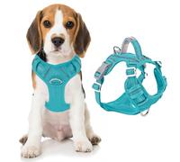 BARKBAY Imbracatura per cani senza tirare, resistente e riflettente, facile da controllare, per cani di grandi dimensioni, con tasca per etichette (blu, M)