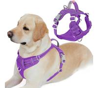 BARKBAY Imbracatura per cani senza tirare, resistente e riflettente, facile da controllare, per cani di grandi dimensioni, con tasca per etichette (viola, L)