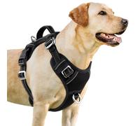 BARKBAY Pettorina riflettente per cani con 3 fibbie, grande, con clip frontale e impugnatura per facile controllo, per camminare, addestrare, correre, con tasca per targhetta identificativa (nero, XL)