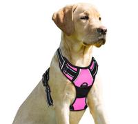 BARKBAY Senza tirare il cane imbracatura anteriore clip resistente riflettente facile controllo maniglia per cani di taglia grande (rosa, XL)