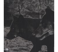Barker & Baumecker - Transsektoral