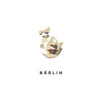 Barlin - The Dust of Our Dreams (Vinyl)