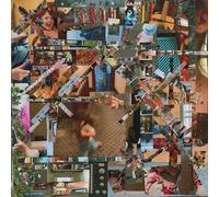 Lou Barlow Reason to Live (Vinyl LP) 12" Album Coloured Vinyl