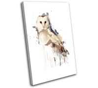 Barn Owl Bird Paint abstract Animals SINGLE TELA parete arte foto stampa