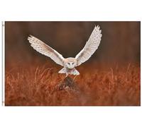 Barn Owl Landing Flight With Open Red Grass Wildlife Bird Scene Bandiera Esterna 90X150Cm Durevole Bandiere Da Cortile Decorative Bandiera Dei Pirati Per Sport Casa Decorazione