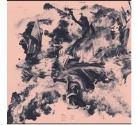 Barnett & Coloccia Third Wilderness (Vinyl LP)