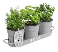 Barnyard Designs Set di fioriere da giardino per erbe aromatiche da interno con vassoio, vasi in metallo per davanzale con drenaggio, per piante da esterno o interno, grigio, set/3