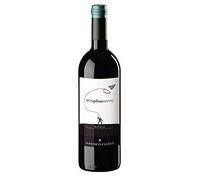 BAROLO 2013 AEROPLANSERVAJ CLERICO DOMENICO