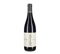 Barolo Lo Zoccolaio 2021