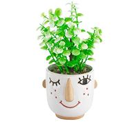 Baroni Home Vaso in Ceramica di Design con Volto, Vaso con Pianta Artificiale Inclusa, Soprammobile Moderno Dipinto a Mano, Statuetta da Interno o Esterno 10x11x23 cm - Boy Occhiolino