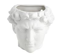 Baroni Home Vaso in Ceramica Pensile Testa di David, Statua Mezzo Busto in Stile Classico, Portapenne, Soprammobile 19X12X19 cm