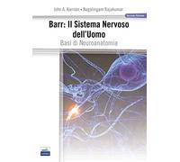 Barr. Il sistema nervoso dell'uomo. Basi di neuroanatomia