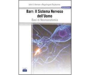 Barr. Il sistema nervoso dell'uomo. Basi di neuroanatomia