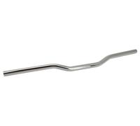 Barra di protezione ZCP Chrome Dirt Track non forata da 2"