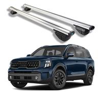 Barre Portatutto per Kia Telluride X-Line And X-PRO 2023 2024 2025, Barre Portapacchi per Auto, Portapacchi da Tetto per Viaggi, Vacanze, Uso Quotidiano,Silver