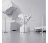 Barriera di Controllo della Folla in Acciaio Inox, Paletto di Sostegno per Cinema, Corde e Pali per Moquette Decorazioni Feste, Controllo Della Folla Nei Teatri