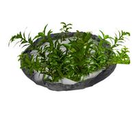 Barriera galleggiante per piante | Rete per la protezione delle piante | Recinzione rotonda per laghetto per acquario, serra, casa, giardino interno, animali acquatici all'aperto lenticchia d'acqua