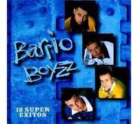 Barrio Boyzz - 12 Super Exitos