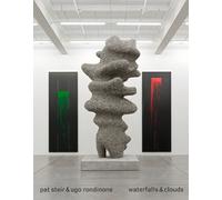 Barry Schwabsky Pat Steir & Ugo Rondinone (Copertina rigida)
