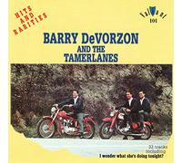 Barry/Tamerlanes - Hits & Rarities In Stereo