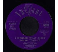 BARRY & TAMERLANES - i wonder what she's doing tonight