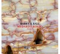 Barry x Ball. Medardo Rosso project. Ediz. a colori